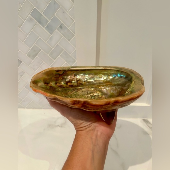 Genuine Abalone Shell Footed Bowl from the 1960's - Picture 3 of 12